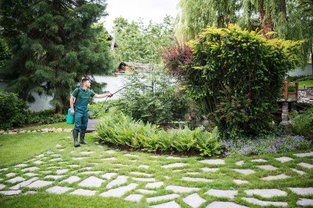 Best Pest Control Treatment  in Bath, PA